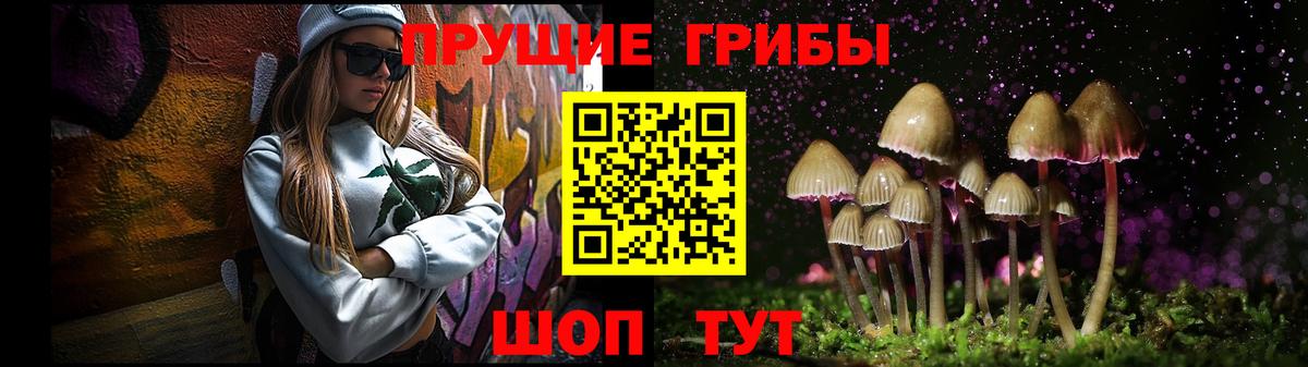 Галлюциногенные грибы Psilocybine cubensis  Вход с VPN  Большой Камень 
